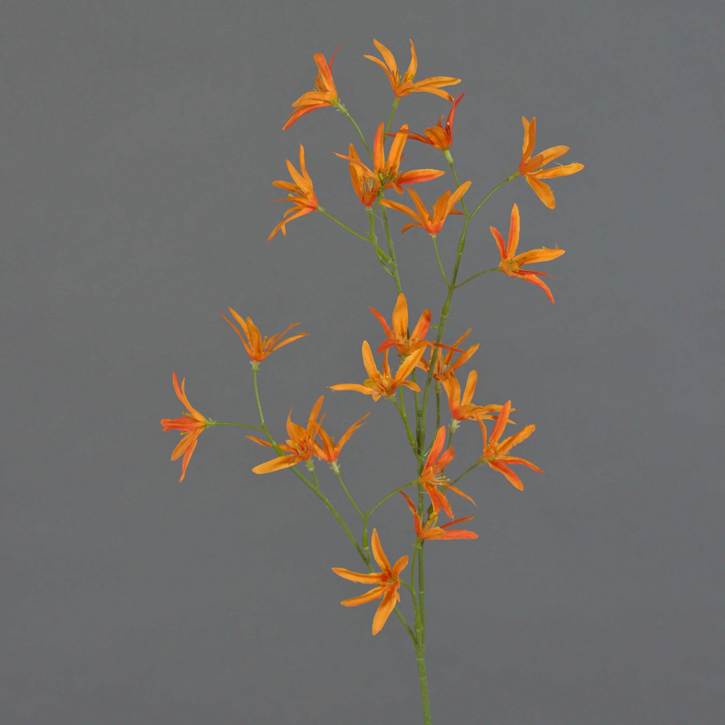 Kunstzweig Textilblume Tweedia solanoides Pallas, orange, 75cm, Ø5cm Tweedia, artplants, Höhe 70.0 cm