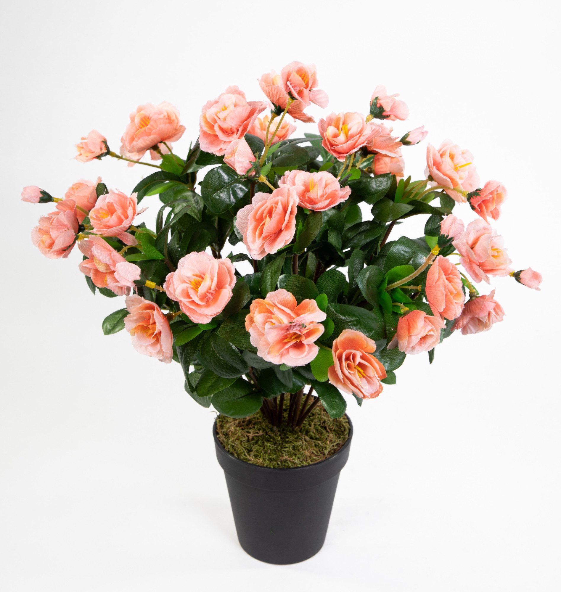 Kunstblume Azalee 40cm im Topf ZF Kunstpflanzen Kunstblumen künstliche Pfla günstig online kaufen