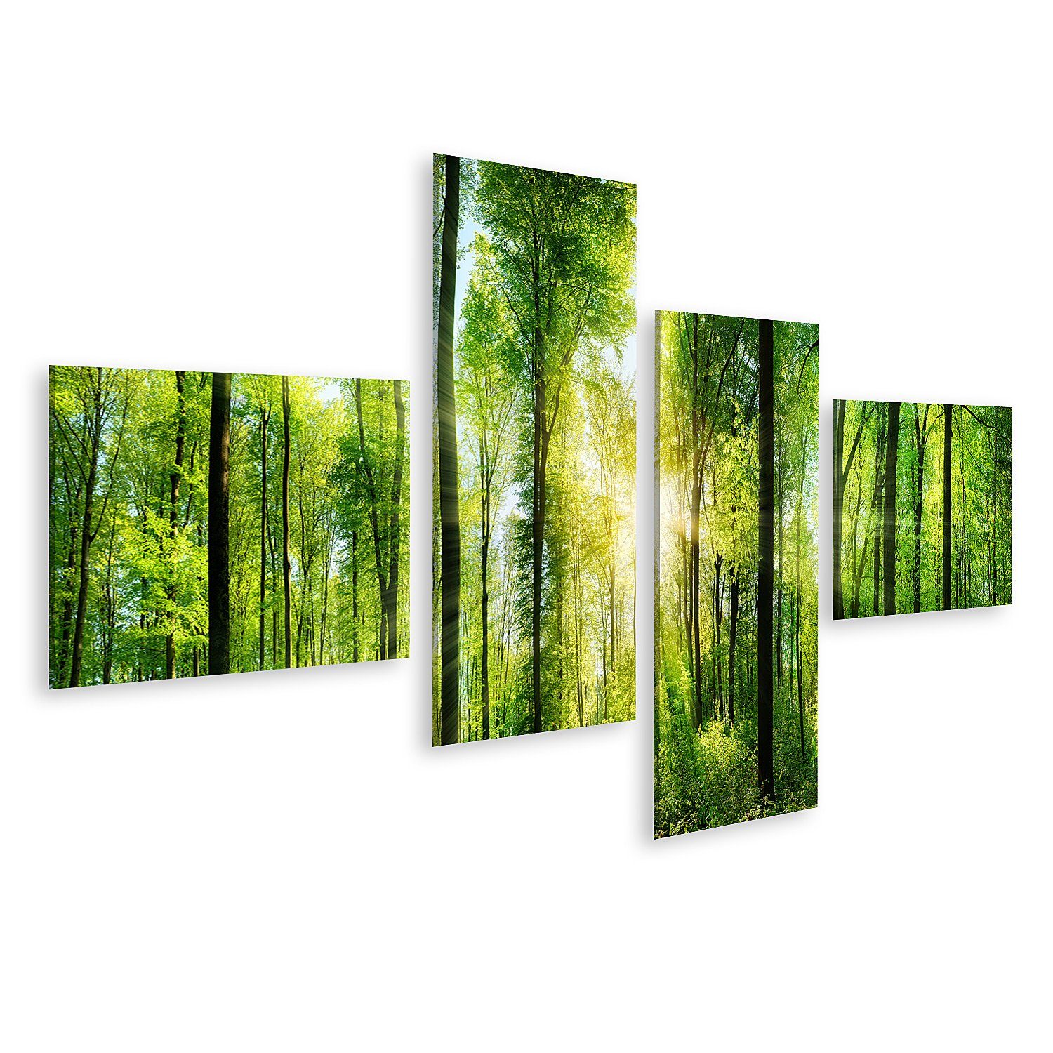 islandburner Leinwandbild Bild auf Leinwand Panorama Von Einem Malerischen Wald Von Frischen Grü