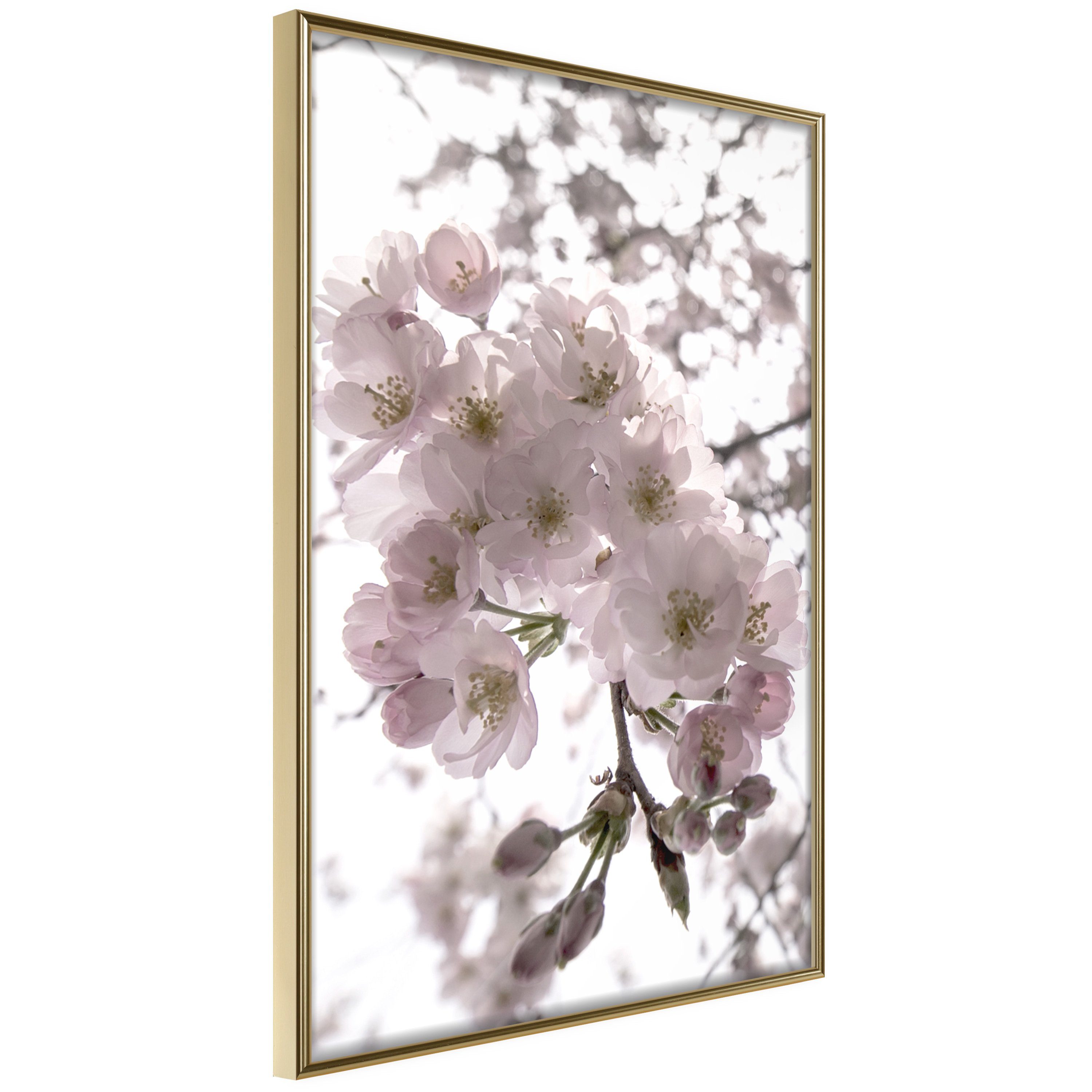 Artgeist Poster Cherry Blossoms