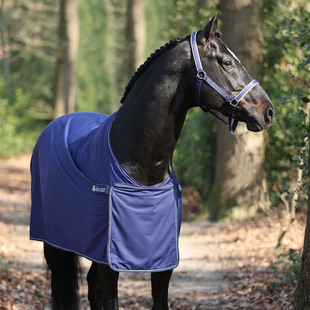 Bucas Pferde-Abschwitzdecke Bucas Panel Prize Cooler