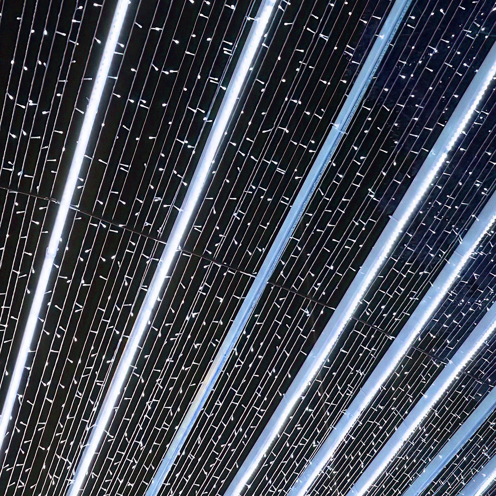 LED-Lichterkette Gimisgu Lichterkette Beleuchtung Außen Kaltweiß Wasserdicht Innen Garten, LED 10-30M Lichtervorhang