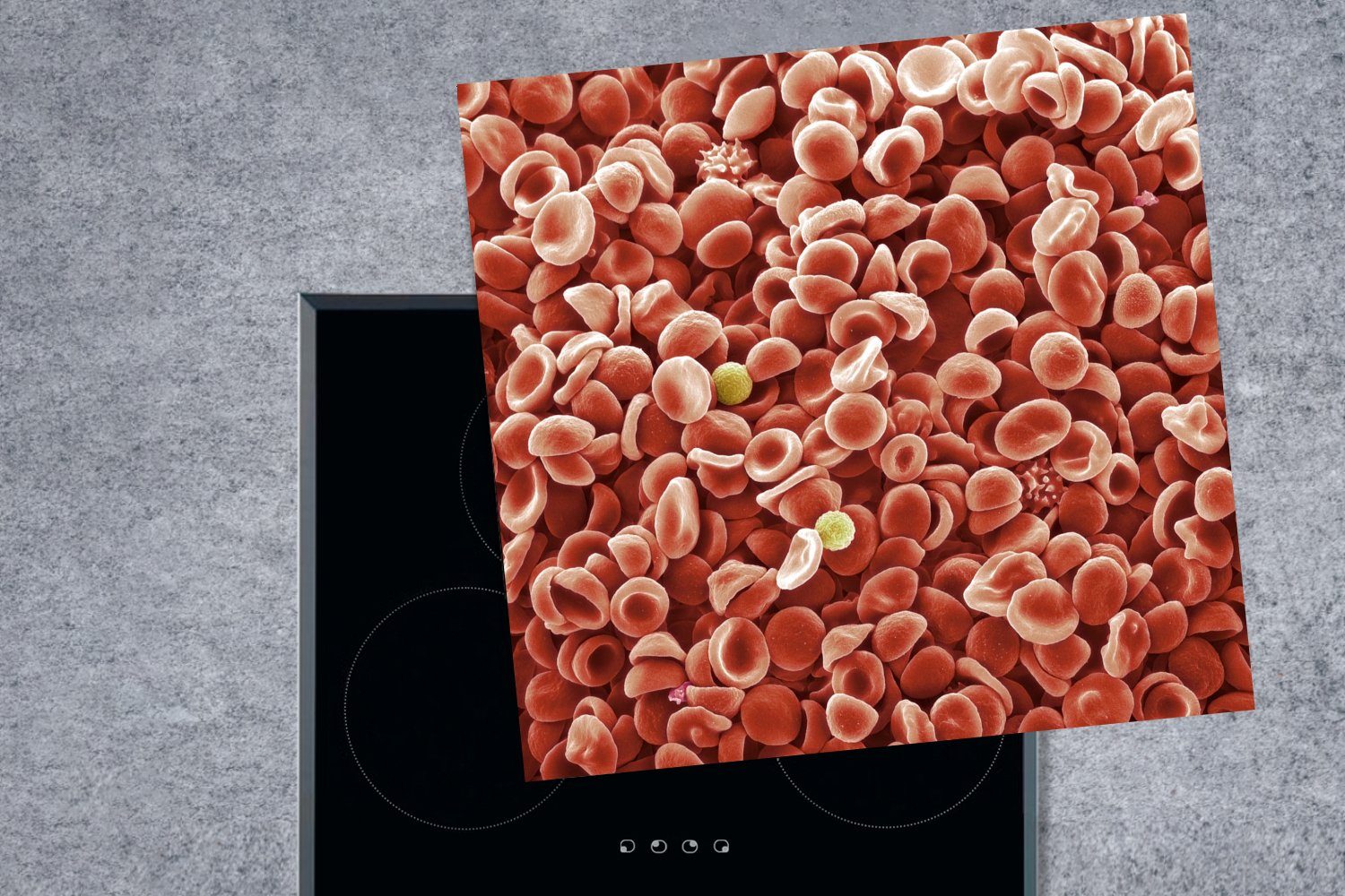 Die Arbeitsplatte cm, Blutzellen Herdblende-/Abdeckplatte eines für küche 78x78 tlg), Ceranfeldabdeckung, MuchoWow (1 Vinyl, Menschen,