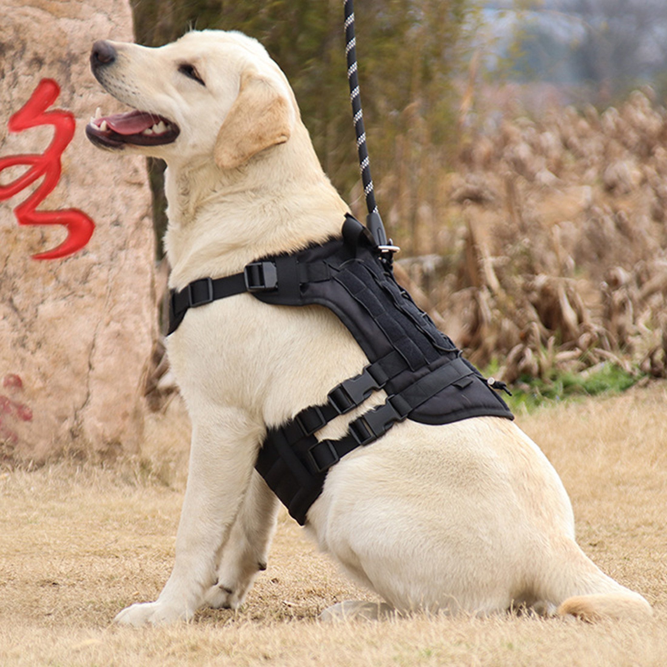 Masbekte Hunde-Geschirr Hundegeschirre mit Gummigriff, Sicherheitsgeschirr, günstig online kaufen