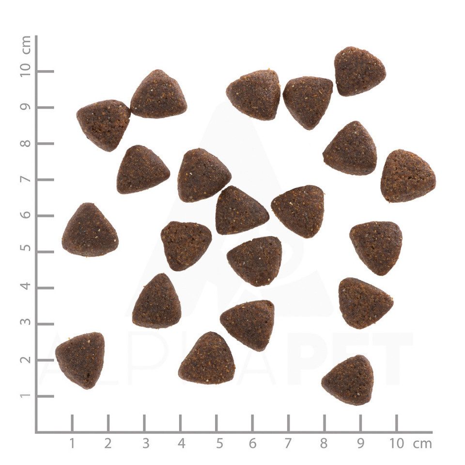 Wolfsblut Wide Plain Active - hypoallergenes Trockenutter für aktive Hunde, Trockenfutter für: Hunde