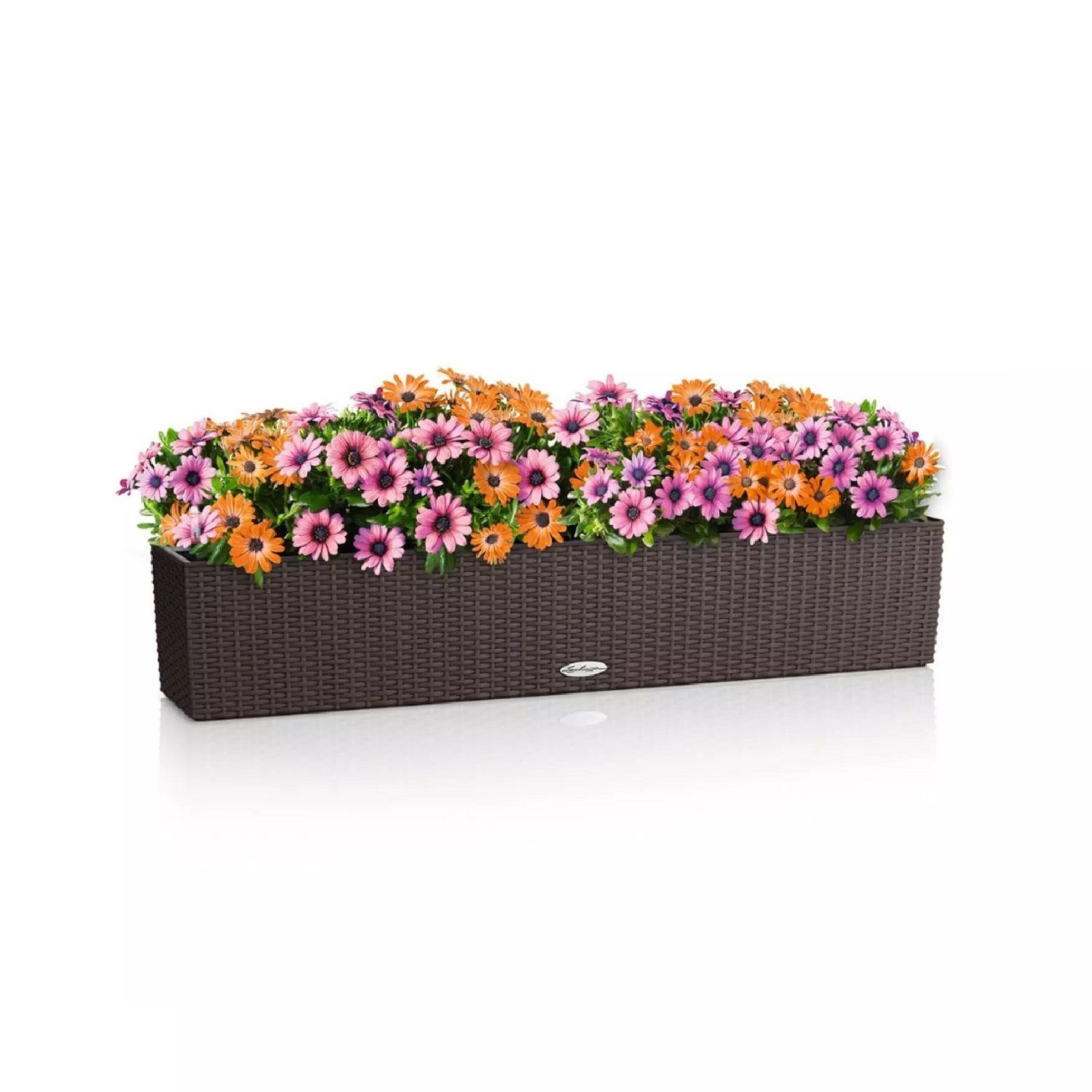 Lechuza® Balkonkasten Lechuza Balkonkasten Balconera Cottage günstig online kaufen