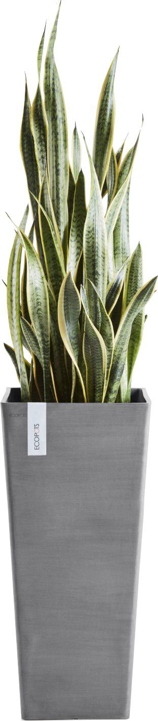 ECOPOTS Blumentopf ROTTERDAM HIGH Grey, BxTxH: 32x32x70 cm