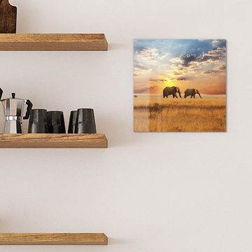 DEQORI Magnettafel 'Elefanten in der Steppe', Whiteboard Pinnwand beschreibbar