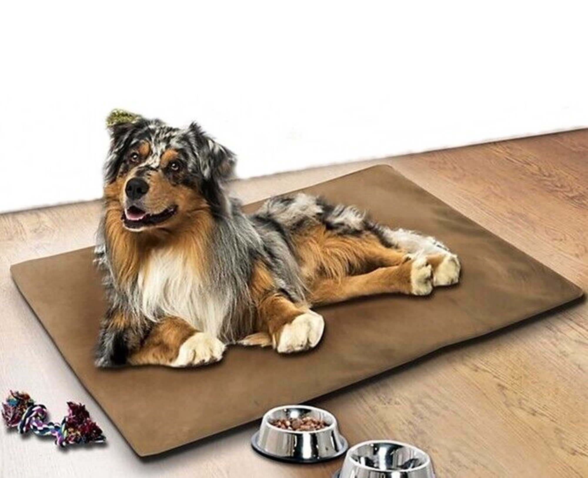 Brilliant Hundematte / Thermo / Hundekissen günstig online kaufen