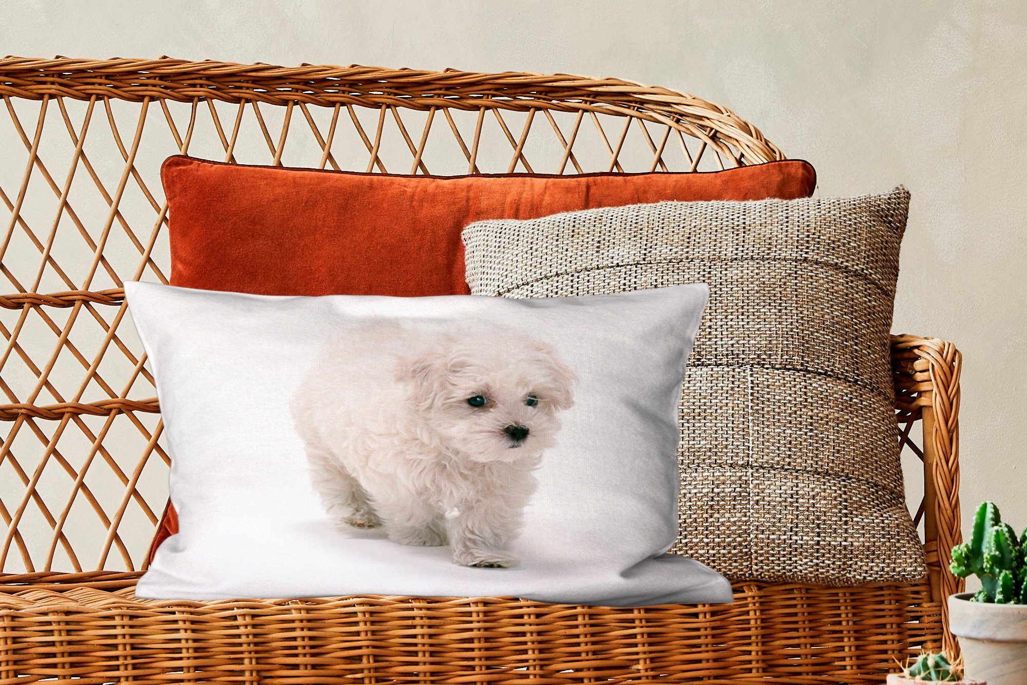 MuchoWow Zierkissen, Wohzimmer Schlafzimmer Niedlicher Dekoration, Füllung, mit Dekokissen Malteserhund, kleiner Dekokissen