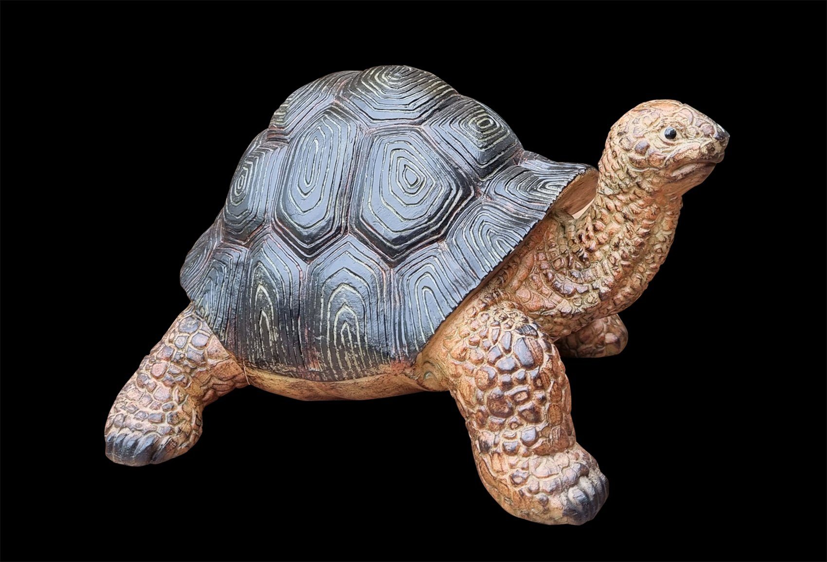 (1 Fachhandel lebensechte St), Frieda, Plus Gartenfigur Garten-Deko-Figur Schildkröte
