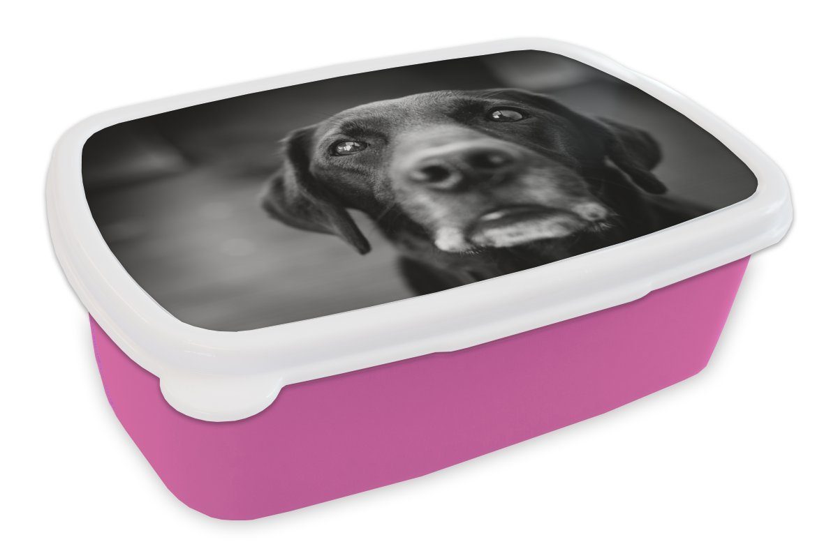 MuchoWow Lunchbox Tierprofil Labrador Hund in schwarz und weiß, Kunststoff, (2-tlg), Brotbox für Erwachsene, Brotdose Kinder, Snackbox, Mädchen, Kunststoff rosa