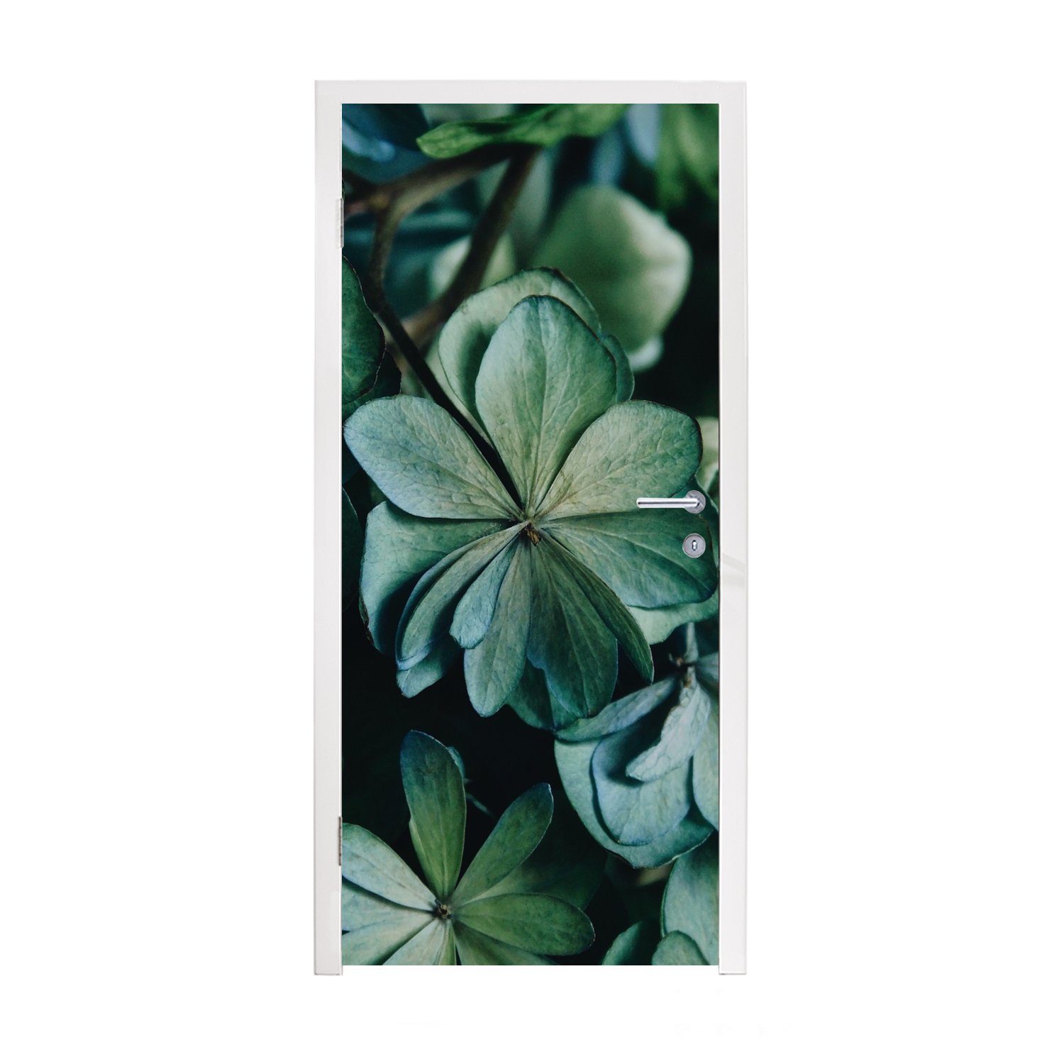 für St), Grüne Tür, cm Hortensienblätter, Türtapete Fototapete (1 Matt, MuchoWow 75x205 Türaufkleber, bedruckt,