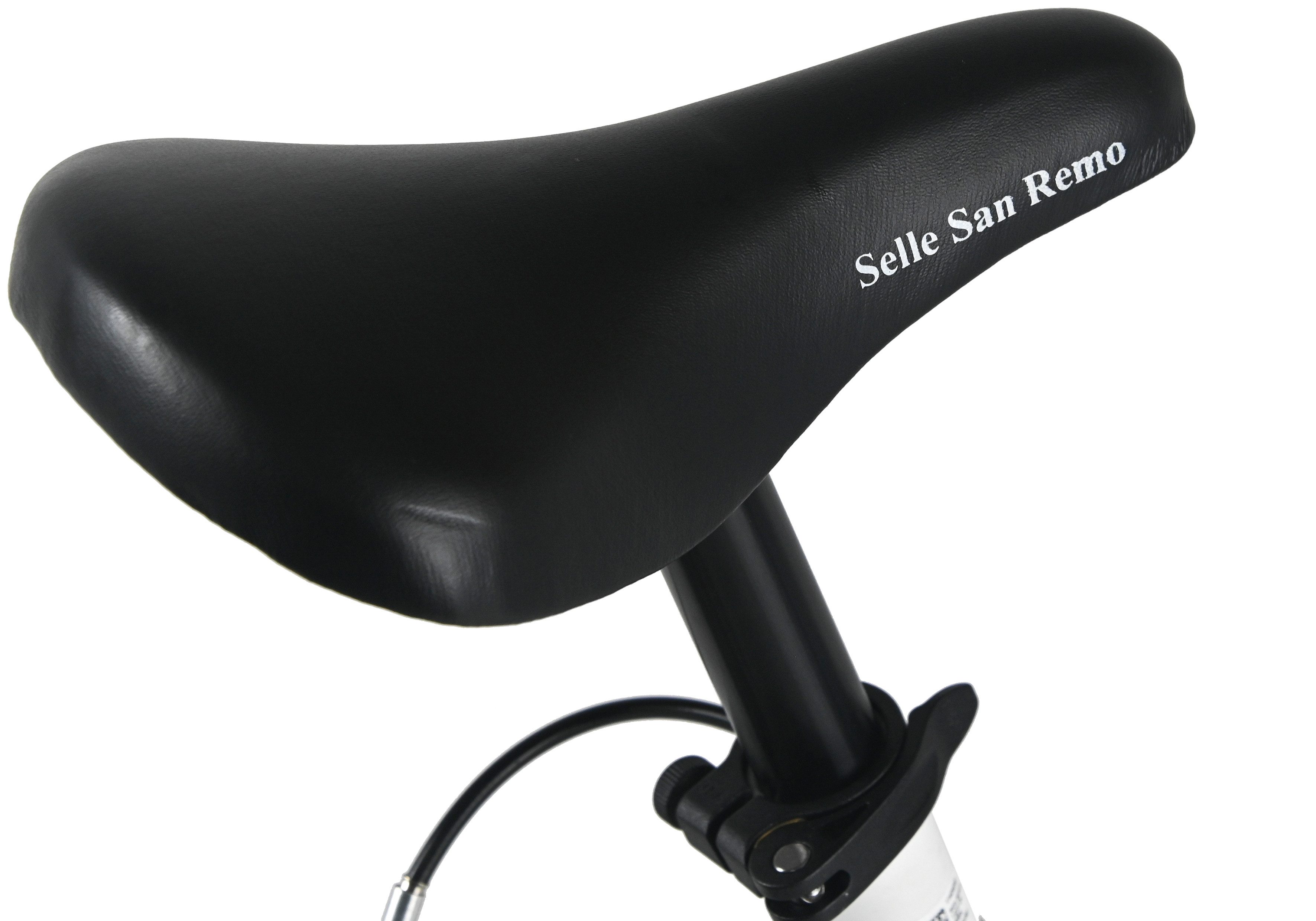 WYLD Kinderfahrrad Girls 24" Mistral Weiß 18 Gänge RH 38 cm - Ab 8 Jahre, 18 Gang, Kettenschaltung