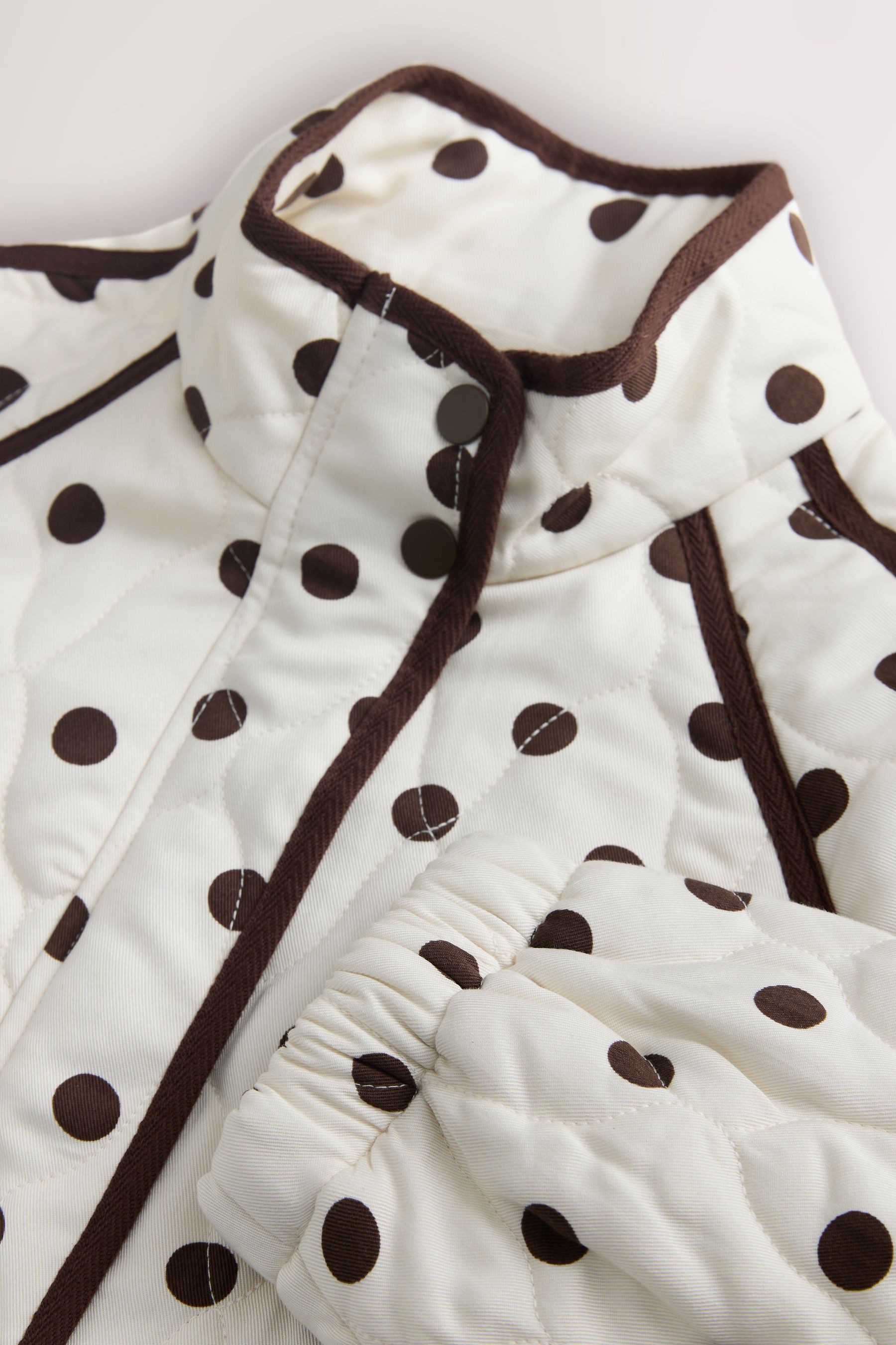 Next Steppjacke Steppjacke (1-St)