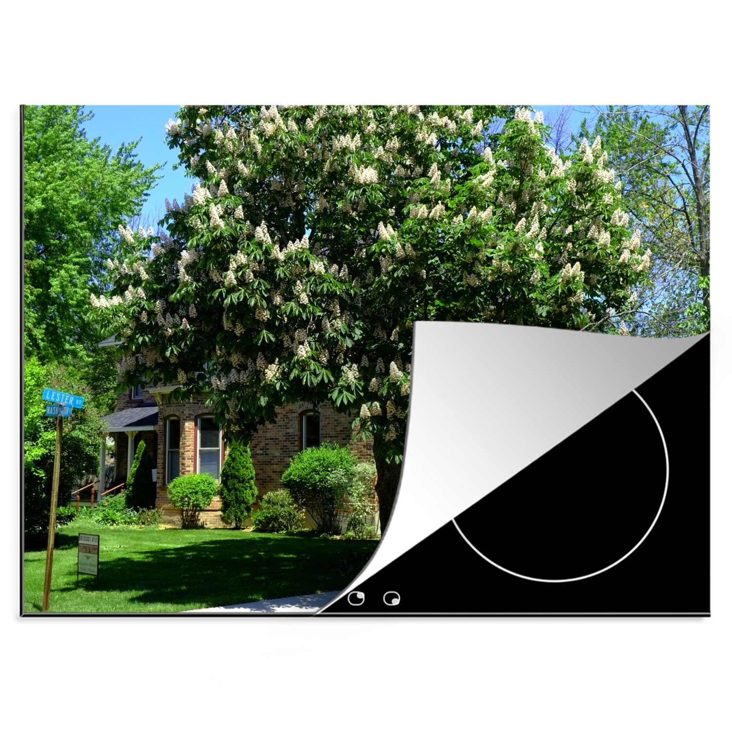 MuchoWow Herdblende-/Abdeckplatte Kastanienbaum in voller Blüte im Frühling, Vinyl, (1 tlg), 70x52 cm, Mobile Arbeitsfläche nutzbar, Ceranfeldabdeckung