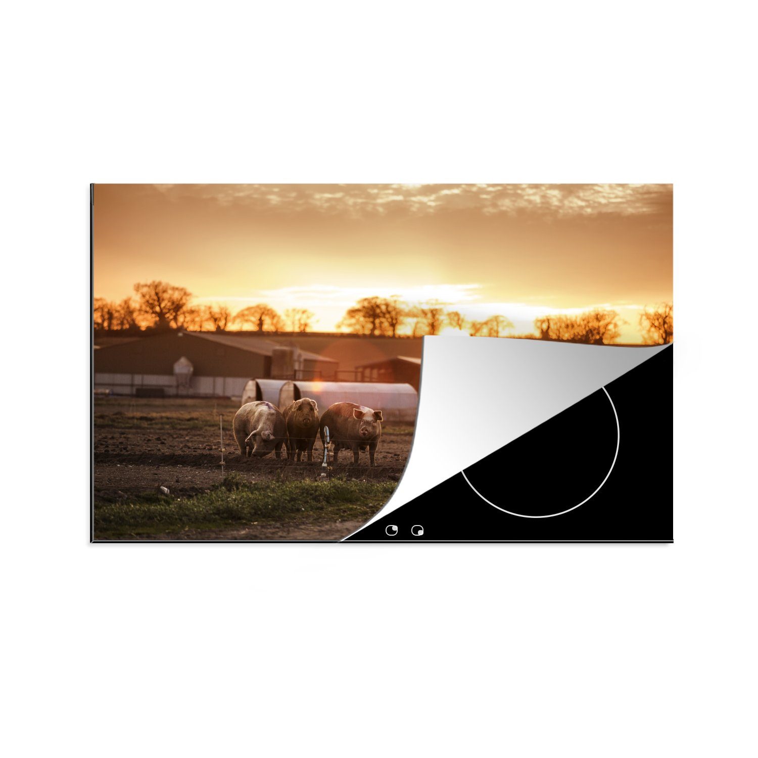 MuchoWow Herdblende-/Abdeckplatte Bauernhof - Sonne - Schwein, Vinyl, (1 tlg), 81x52 cm, Induktionskochfeld Schutz für die küche, Ceranfeldabdeckung