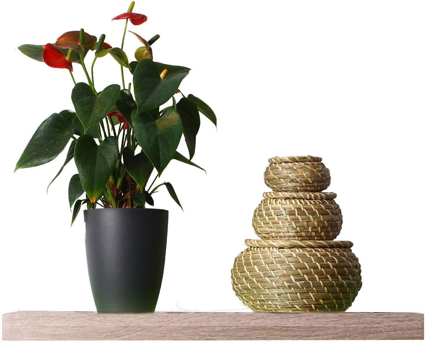 Woltu Wandregal, 1-tlg., Wandregal & WandBoard Sonoma Eiche günstig online kaufen