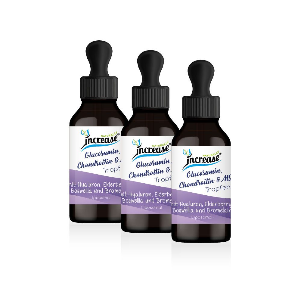 Nimm 3, zahl 2 Aktion Liposomale Glucosamin, Chondroitin & MSM Tropfen