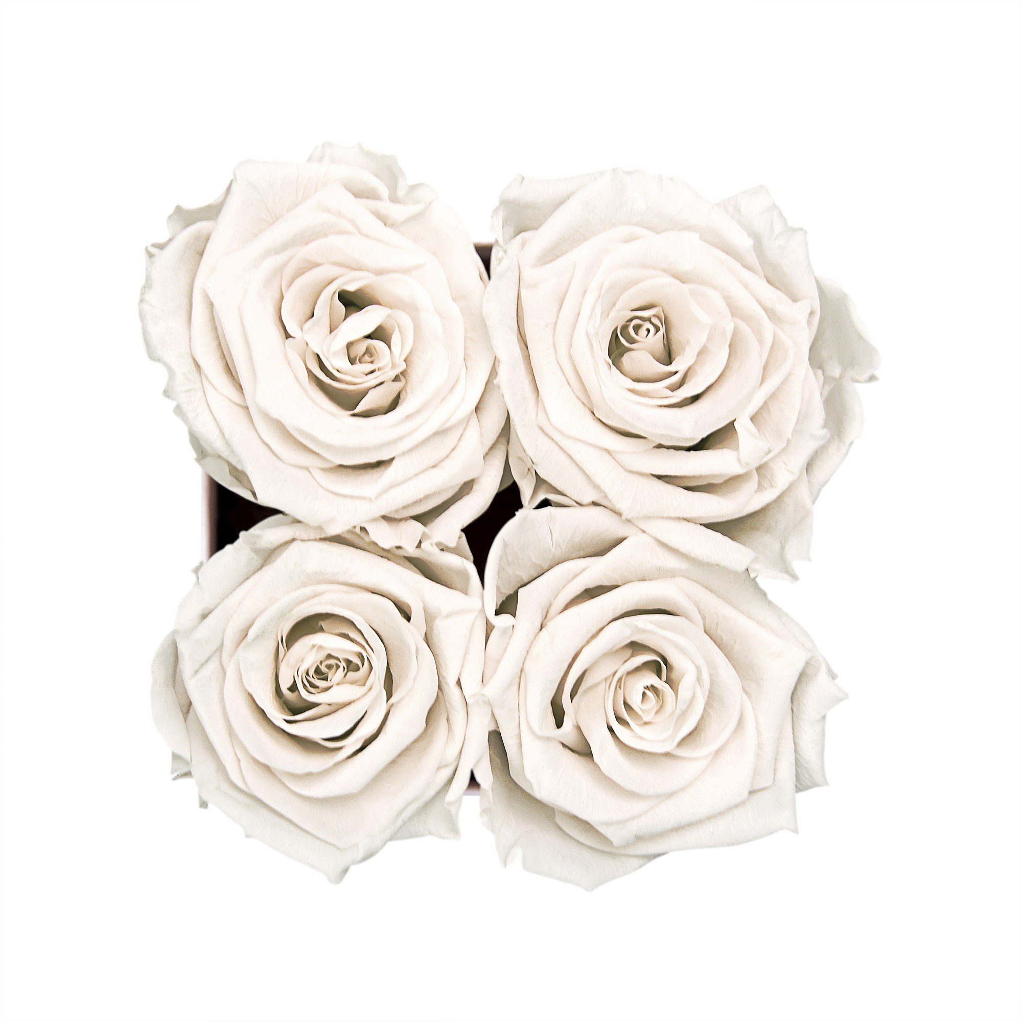 I Infinity weiß Kunstblume Eckige Blumen by I Höhe 3 4 Richter Rosenbox konservierte Echte, duftende Rose, Holy Flowers, cm in Holy Infinity Rosen haltbar Jahre Raul White I 11 mit