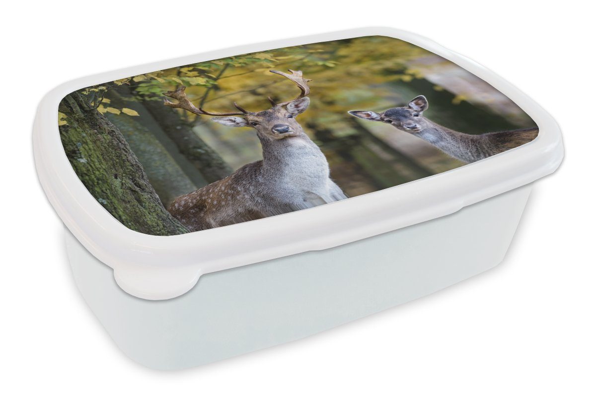 MuchoWow Lunchbox Hirsche - Tiere - Baum, Kunststoff, (2-tlg), Brotbox für Kinder und Erwachsene, Brotdose, für Jungs und Mädchen weiß