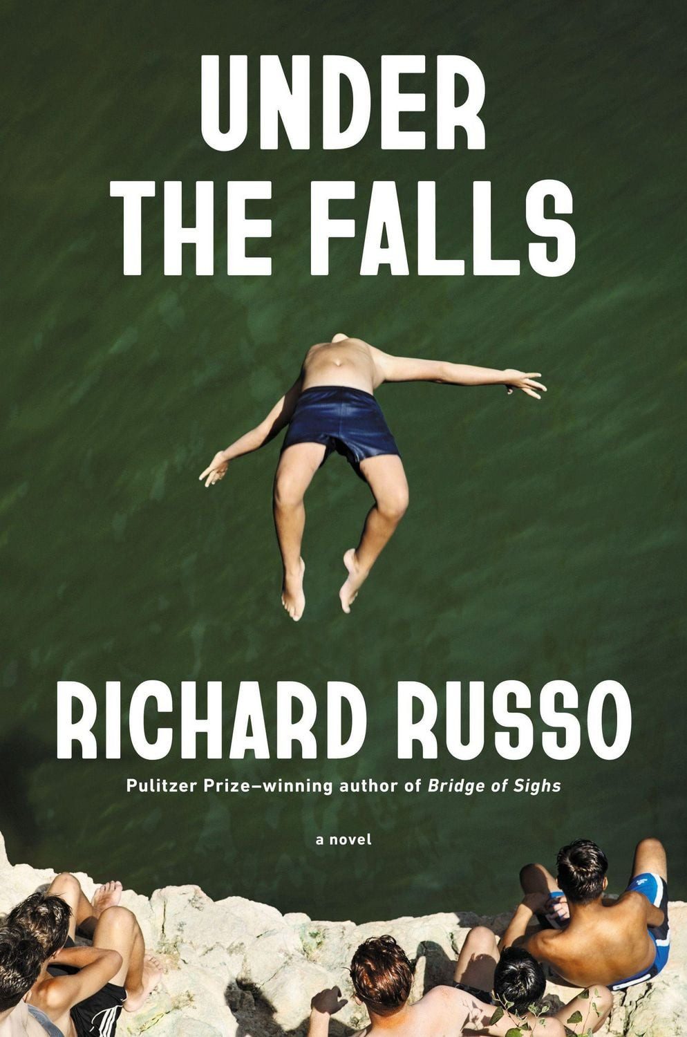 Under the Falls / Richard Russo