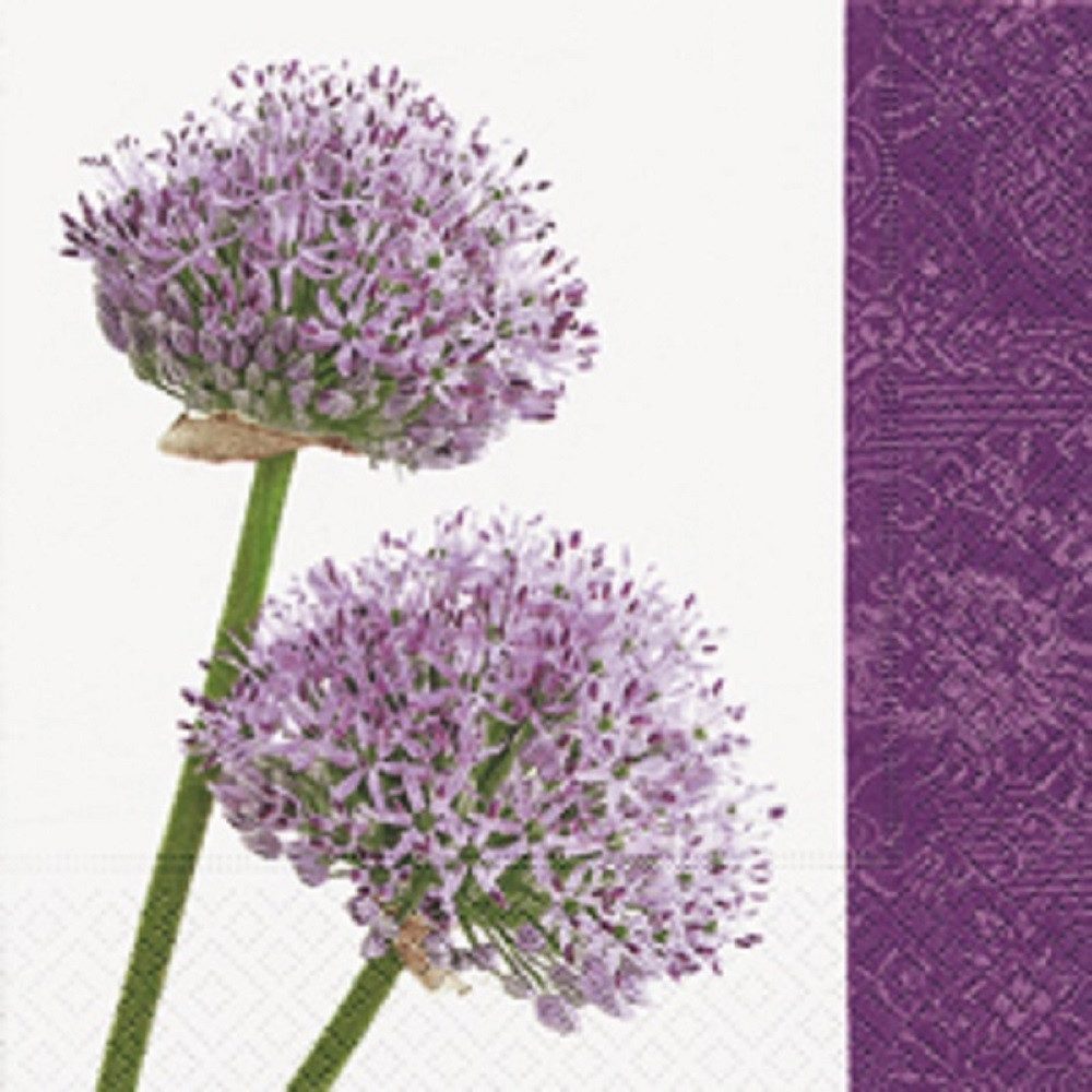 Paper+Design Papierserviette 20 LUNCH SERVIETTEN 33x33cm lila violett/ALLIUM