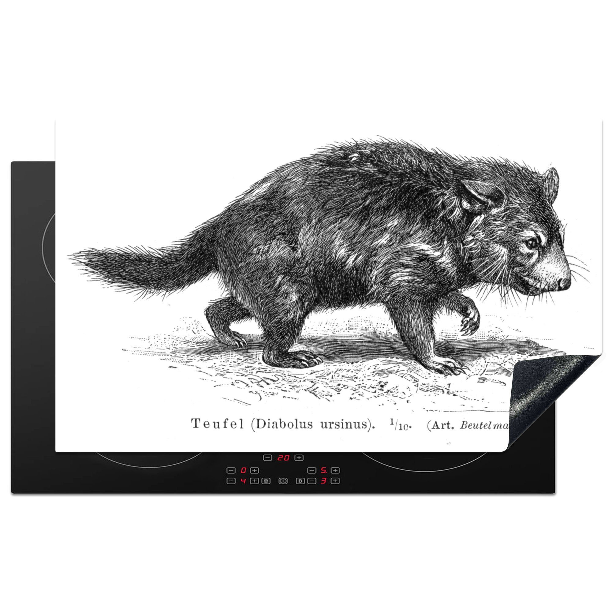 MuchoWow Herdblende-/Abdeckplatte Eine Illustration eines tasmanischen Teufels, Vinyl, (1 tlg), 83x51 cm, Ceranfeldabdeckung, Arbeitsplatte für küche