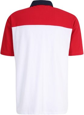 Fila Poloshirt Lianshan Blocked Polo Shirt