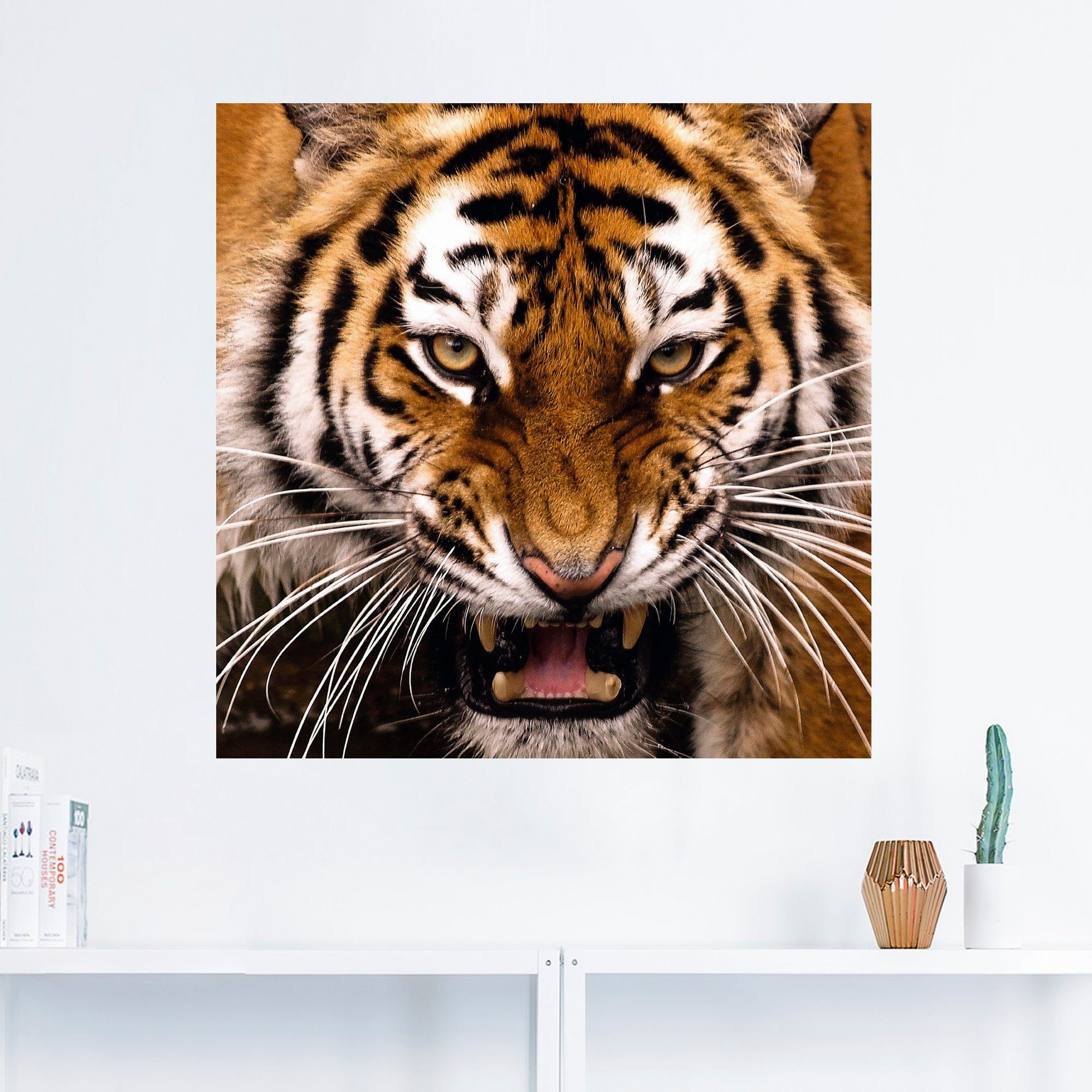 in Artland versch. (1 als St), oder Wandaufkleber Poster Wandbild Größen Leinwandbild, Kopf, Alubild, Tiger Wildtiere