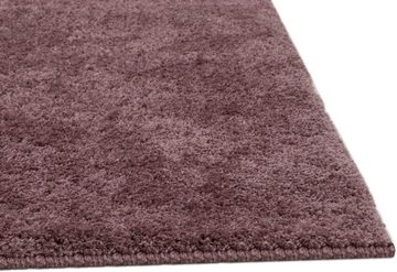 Teppich Guilia 001, Gino Falcone, rechteckig, Höhe: 15 mm, besonders weich durch Microfaser, ideal im Wohnzimmer & Schlafzimmer