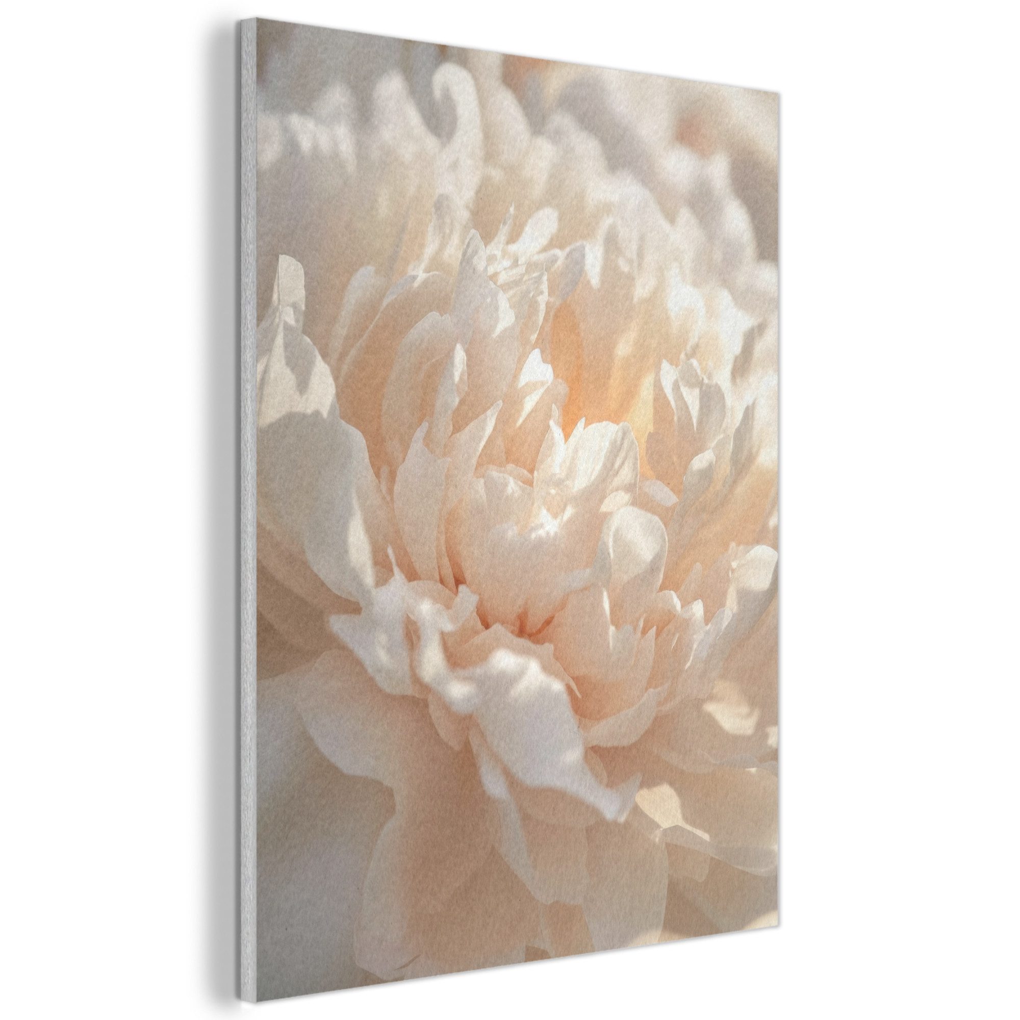 MuchoWow Gemälde Nahaufnahme - Pfingstrose - Hellrosa, Fotodruck (1 St), Akustikpaneele, Wandpaneele, Schalldämmung, Akustikbilder 30x40 cm