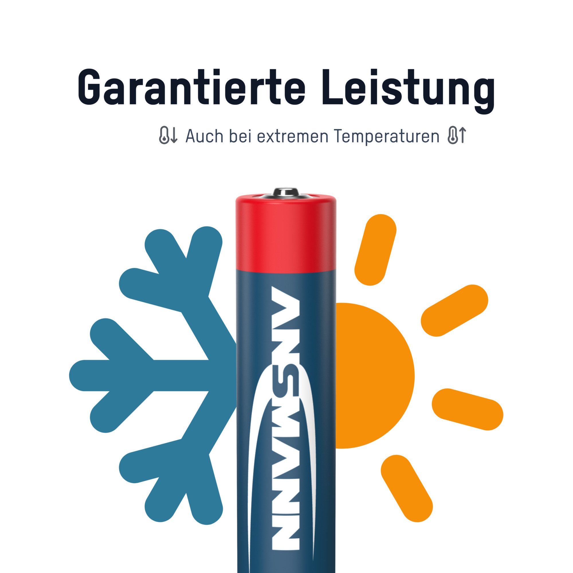 ANSMANN AG Batterie Set Alkaline 20x AA Mignon LR6 + 20x AAA Micro LR03 Großpack Batterie