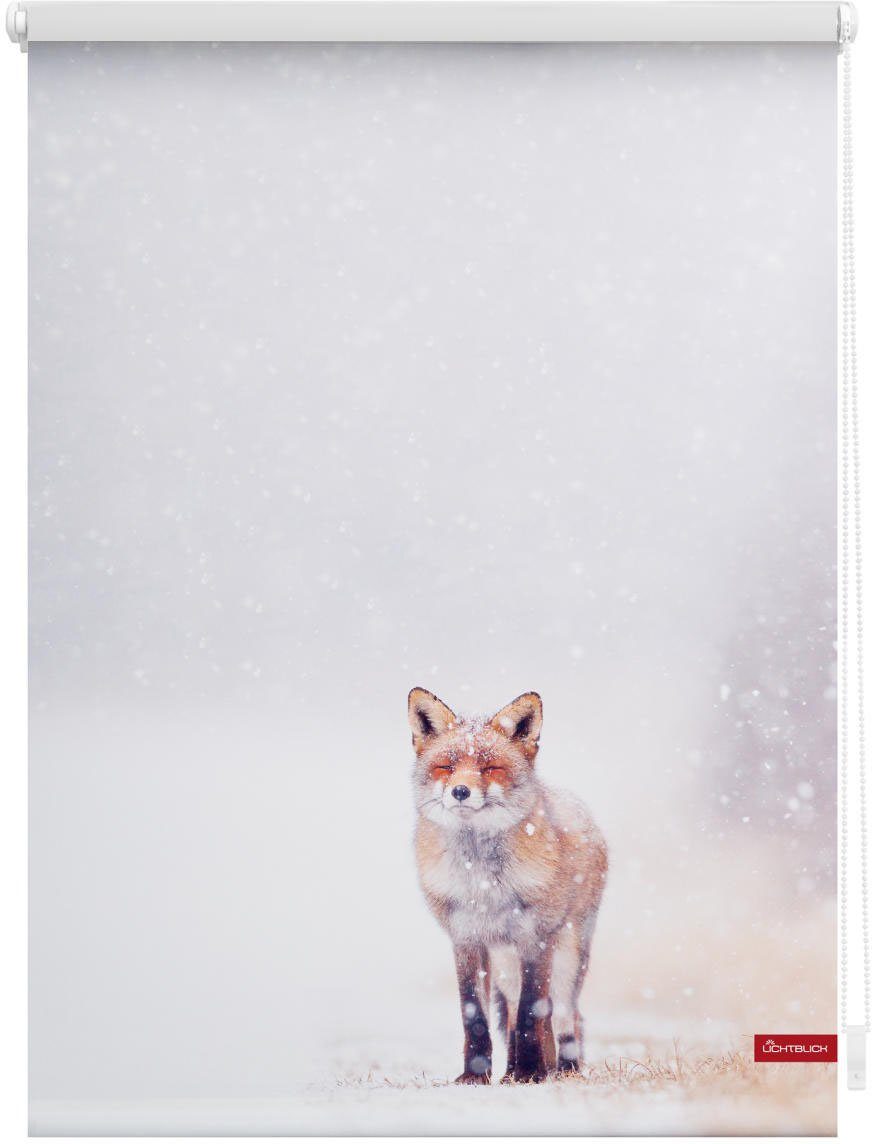 Seitenzugrollo Rollo Klemmfix, ohne Bohren, Verdunkelung, Fuchs im Schnee - Weiß Rot, LICHTBLICK ORIGINAL, verdunkelnd, freihängend, Klemmfix
