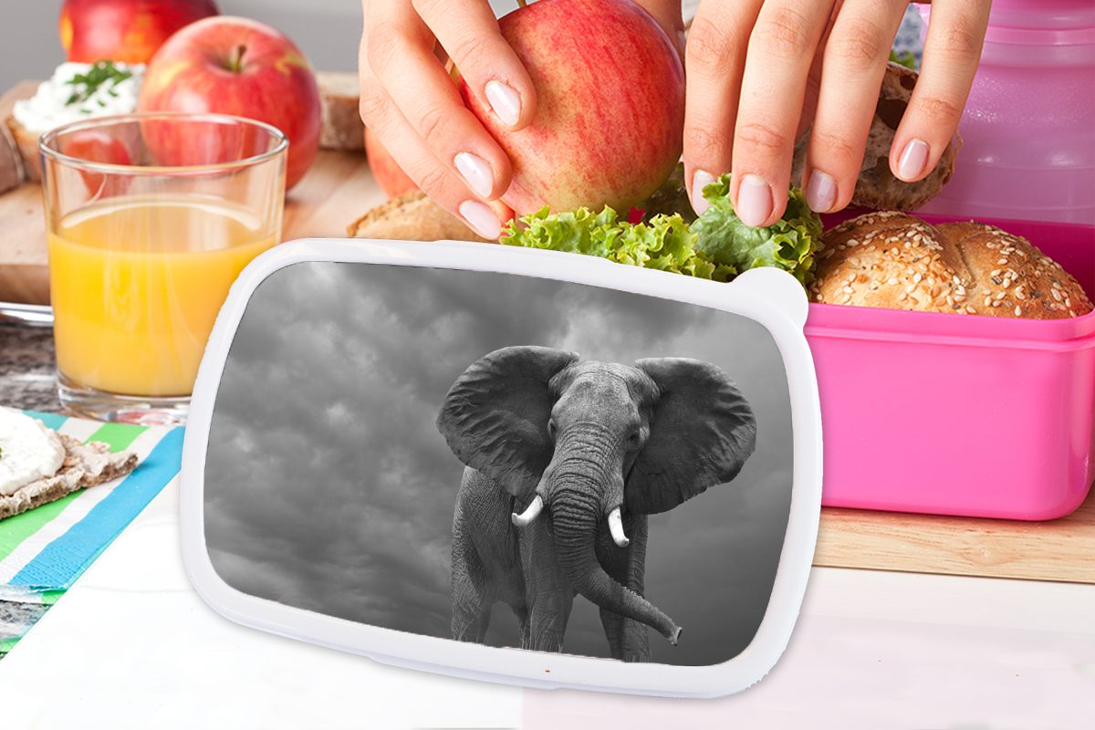 MuchoWow Lunchbox Laufender Elefant dunklen schwarz und Erwachsene, für Himmel - Kunststoff, gegen Kinder, Brotdose rosa (2-tlg), Kunststoff Mädchen, weiß, Snackbox, einen Brotbox