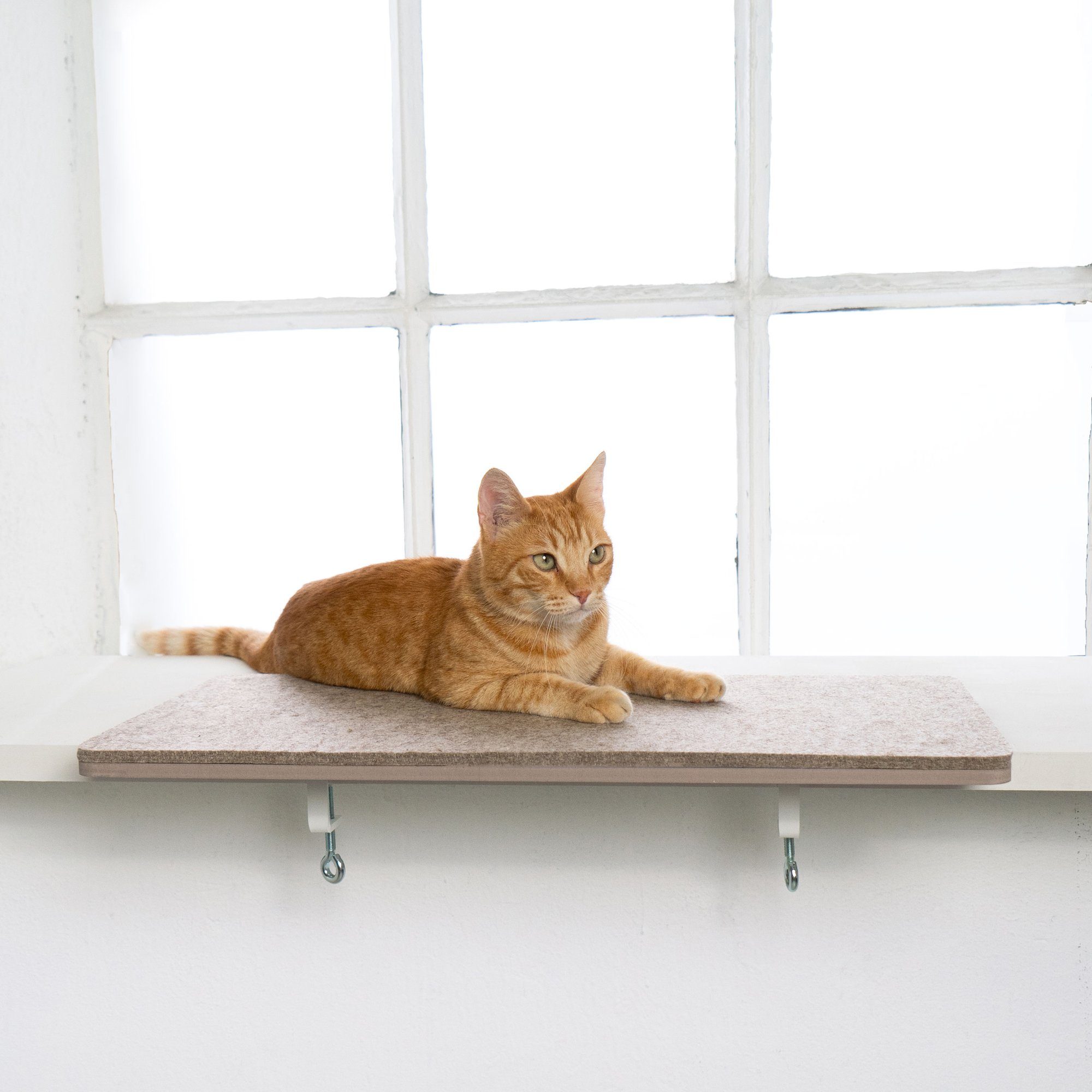 LucyBalu Katzenliege Katzen Fensterbankliege, Fensterbrett Verbreiterung günstig online kaufen