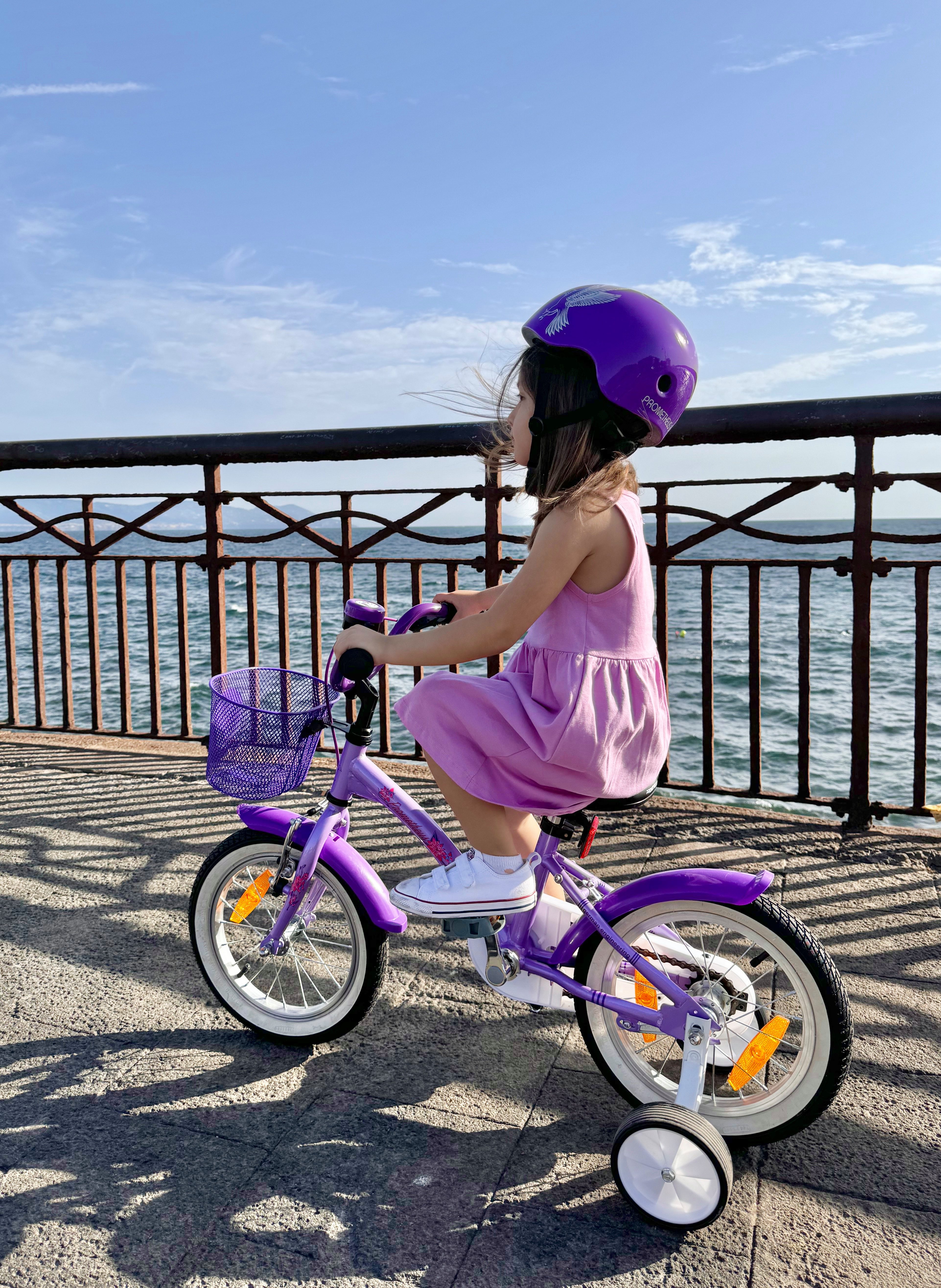 PROMETHEUS BICYCLES Kinderfahrrad HAWK 14 Zoll ab 4 Jahre, 1 Gang, Junge Mädchen Fahrrad Kinder mit Rücktrittbremse Stützräder