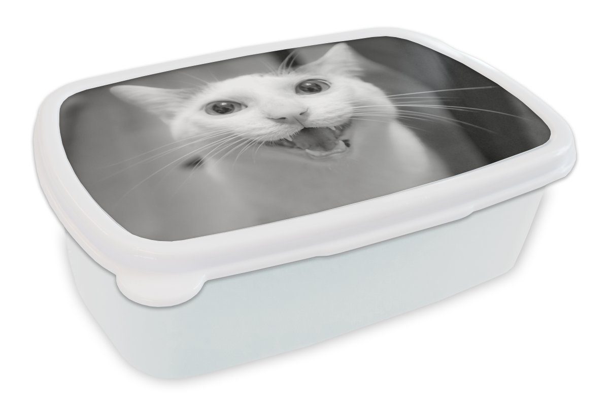 MuchoWow Lunchbox Lächelnde Katze Nahaufnahme - schwarz und weiß, Kunststoff, (2-tlg), Brotbox für Kinder und Erwachsene, Brotdose, für Jungs und Mädchen | Lunchboxen