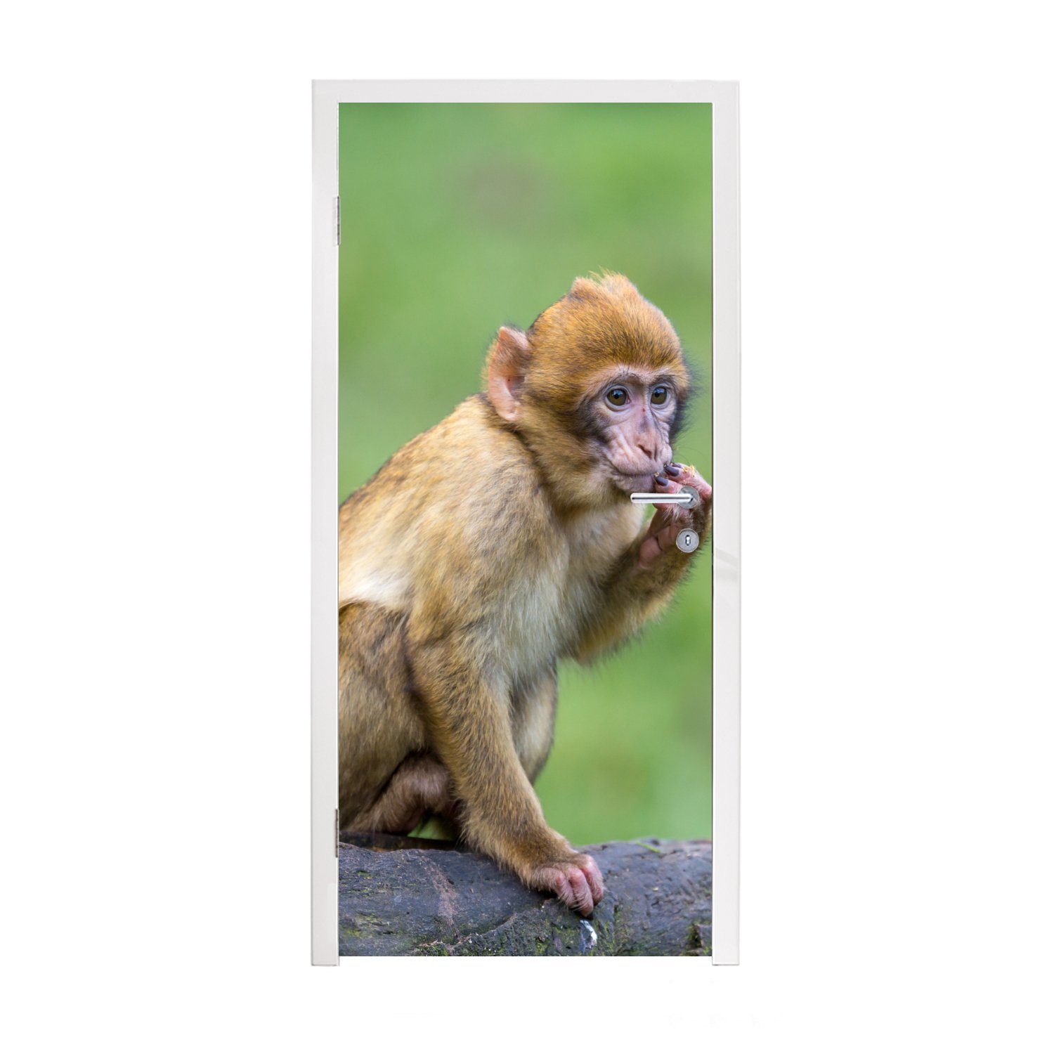 MuchoWow Türtapete Affe - Zweig - Natur - Tiere, Matt, bedruckt, (1 St), Fototapete für Tür, Türaufkleber, 75x205 cm