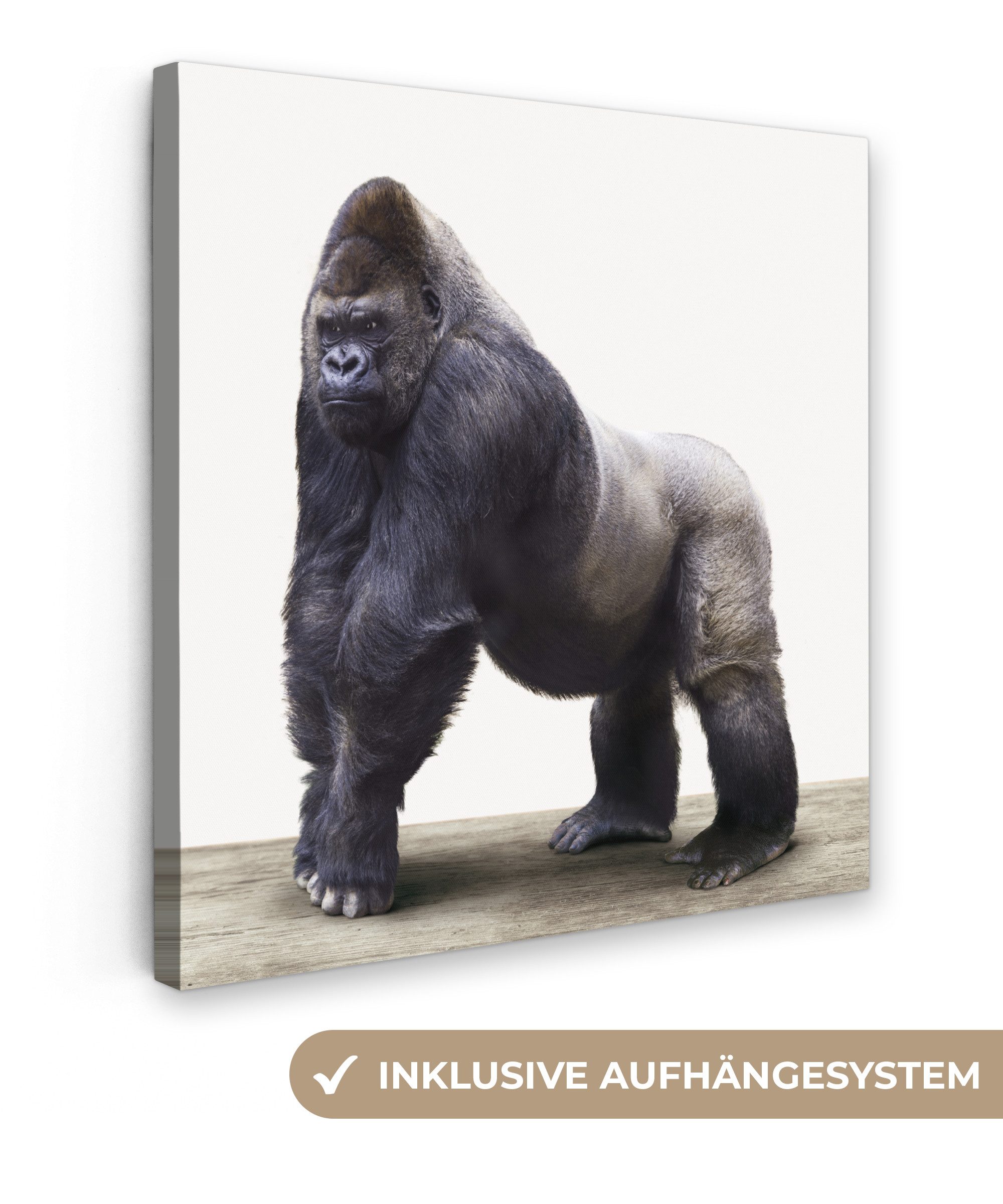 OneMillionCanvasses® Leinwandbild Gorilla - Tiere - günstig online kaufen