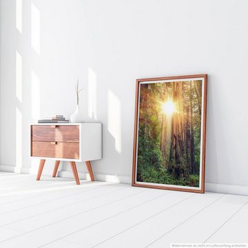 Sinus Art Poster Landschaftsfotografie 60x90cm Poster Sonniger Redwood Forest Kalifornien USA