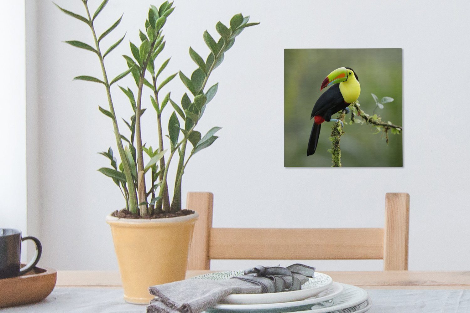 OneMillionCanvasses® Leinwandbild Ein Tukan ruht sich Bilder aus, moosbewachsenen einem Leinwand Ast Wohnzimmer St), auf für (1 Schlafzimmer
