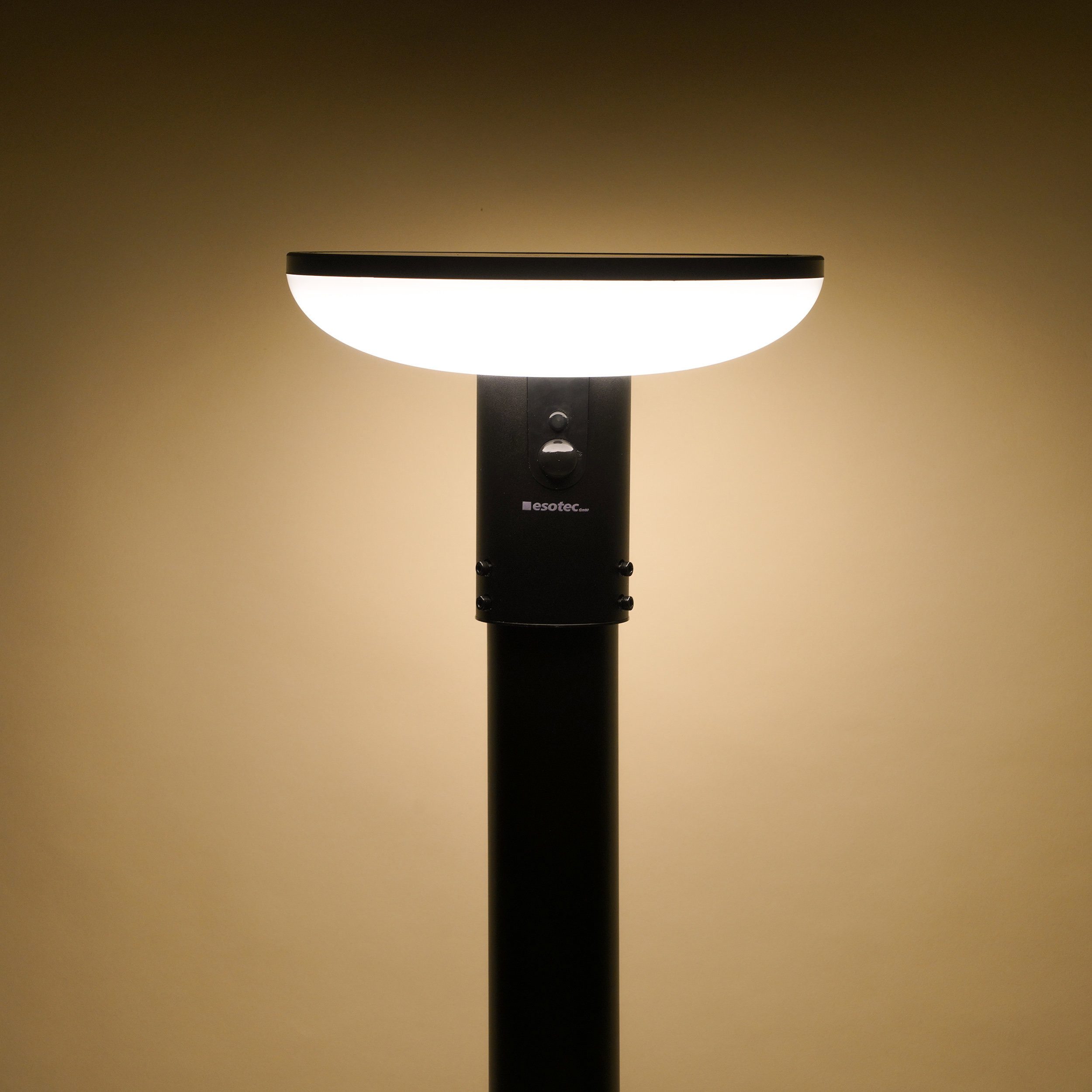 esotec LED Gartenleuchte ALU Solar PIR-Standleuchte Linus H200cm CCT 3 Modi 160LEDs IP44 102945, CCT-Funktion, 3 unterschiedliche Betriebsmodi, Bewegungssensor, automatisches Einschalten bei Dämmerung, LED fest integriert, warmweiß, kaltweiß, tageslichtweiß