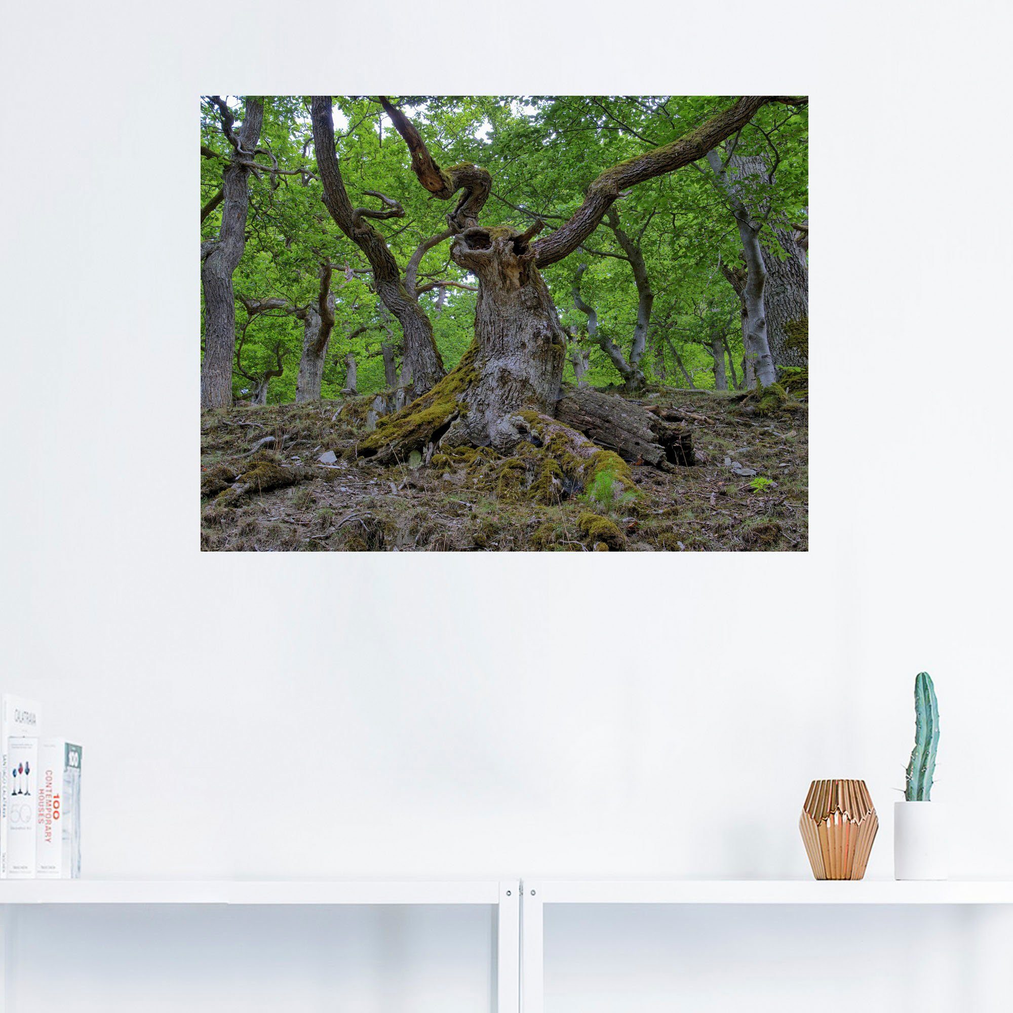 (1 Wald oder in ein Poster Wandaufkleber Eichen Wandbild Artland versch. St), Größen wie Märchenwald, als Leinwandbild,