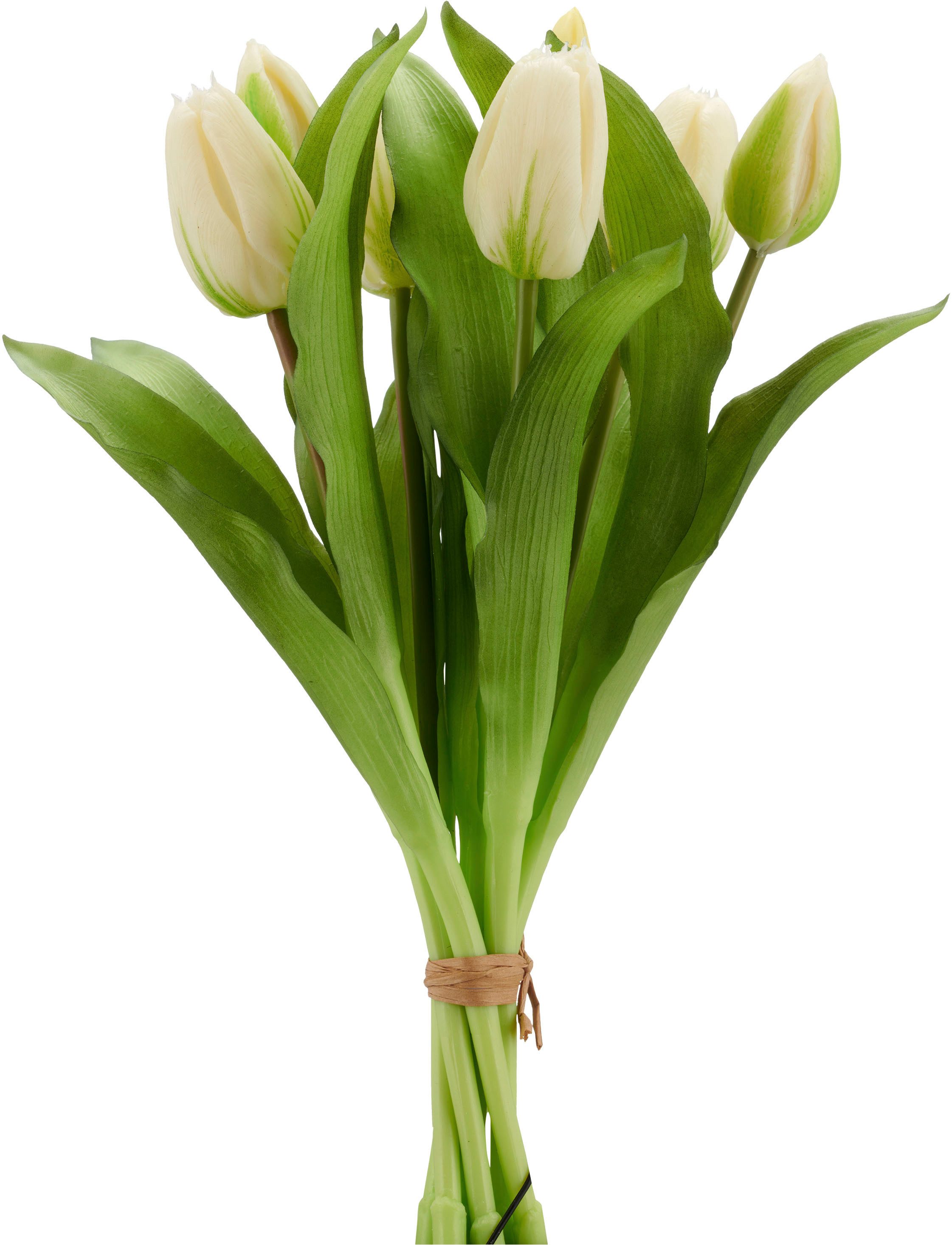 Kunsttulpe Tulpenbund, Creativ green, Höhe 32 cm, aus 7 Einzelstielen