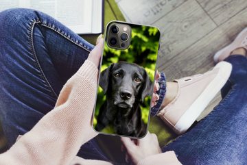 MuchoWow Handyhülle Ein schwarzer Labrador Retriever inmitten der grünen Blätter, Handyhülle Apple iPhone 12 Pro, Smartphone-Bumper, Print, Handy