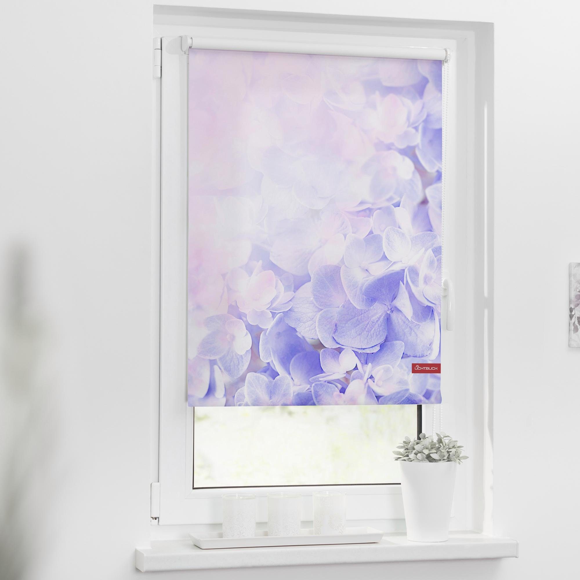 Seitenzugrollo Klemmfix Motiv Hortensie, LICHTBLICK ORIGINAL, günstig online kaufen