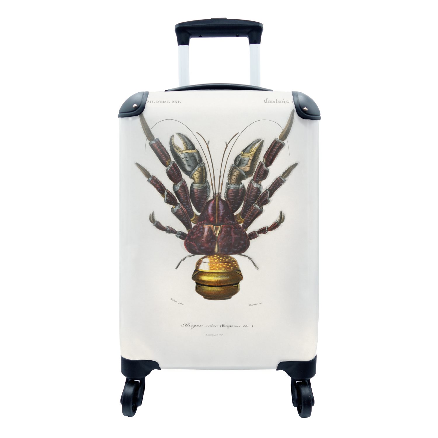 MuchoWow Handgepäckkoffer Krabbe - Jahrgang - Tier, 4 Rollen, Reisetasche mit rollen, Handgepäck für Ferien, Trolley, Reisekoffer