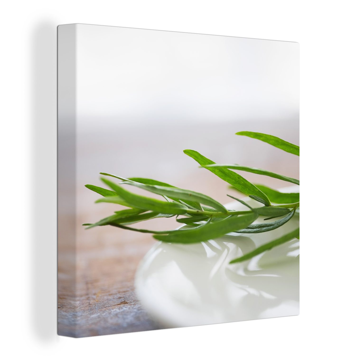 Keramikteller Estragonpflanze, der Leinwand Bilder Schönheit (1 Wohnzimmer mit St), für OneMillionCanvasses® Leinwandbild der Schlafzimmer