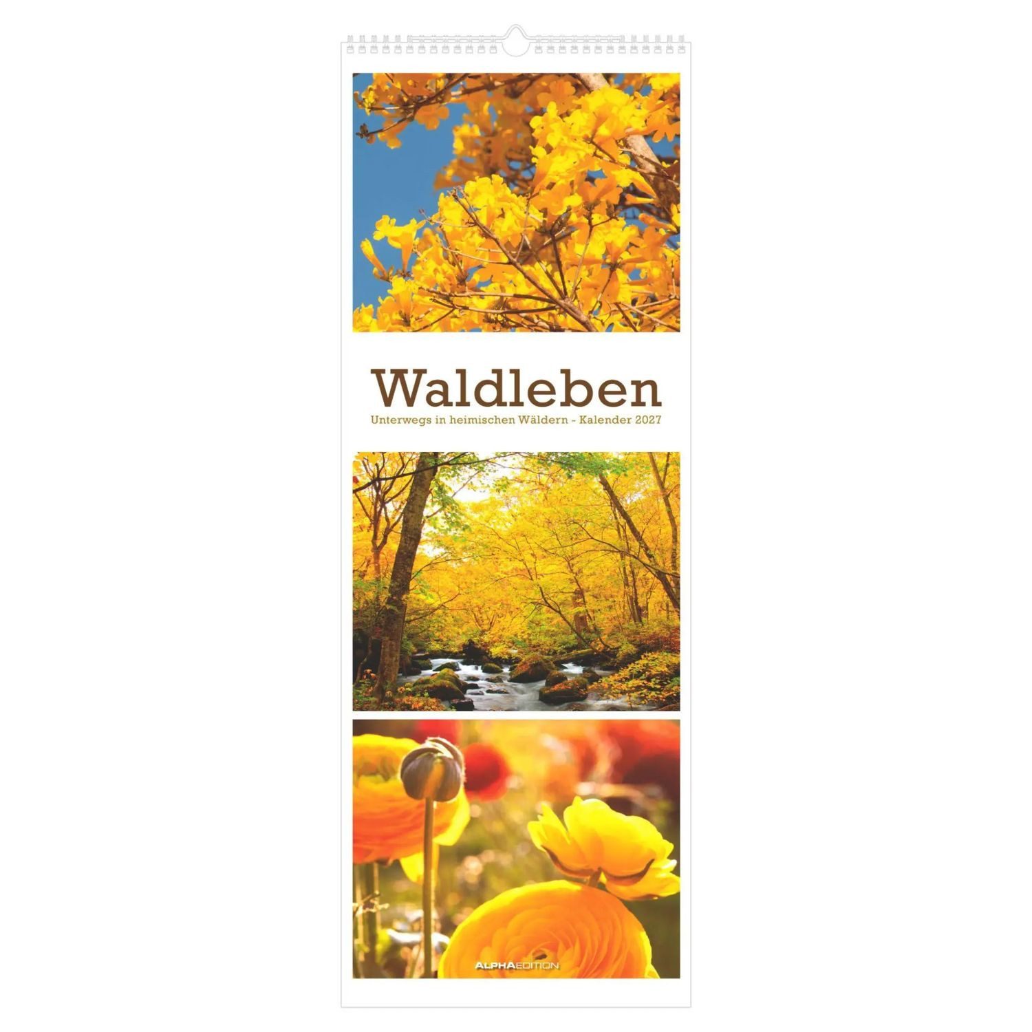 Alpha Edition Wandkalender Waldleben - Triplets 2027